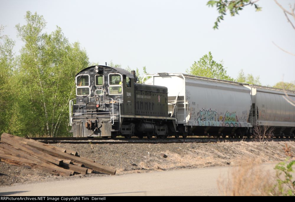 LS 1201 working the yard